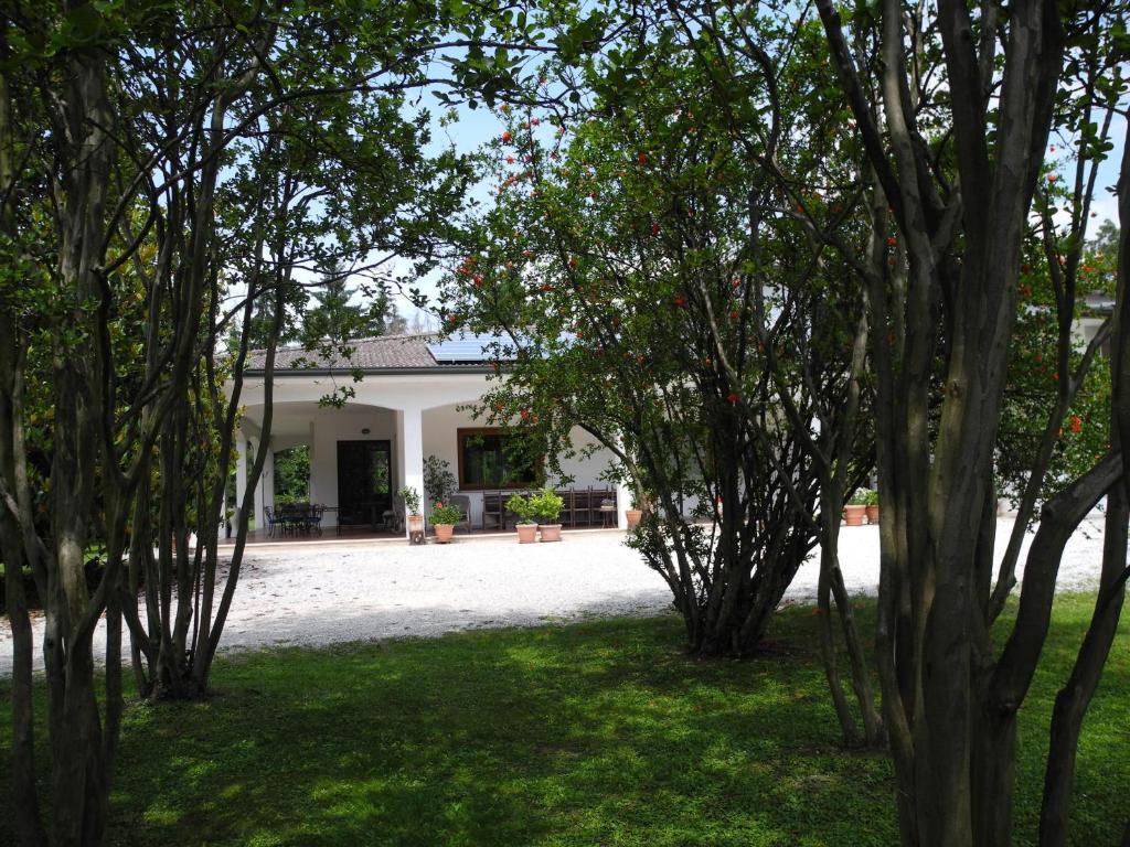سيليا B&B Villa Miani المظهر الخارجي الصورة